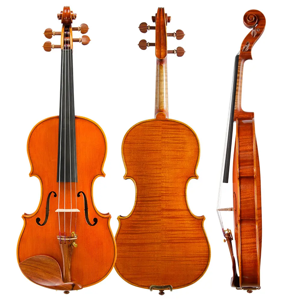 Christina S100A thương hiệu nổi tiếng Violin với vân sam Mặt và Brazil gỗ Bow mức độ hiệu suất với miễn phí trường hợp & Strings