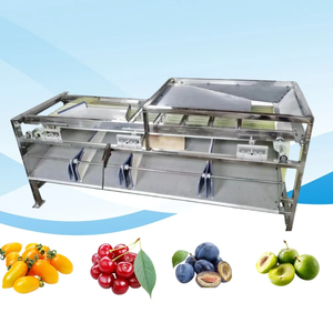 Macchina automatica per la selezione delle dimensioni di frutta e verdura - Product Image 5