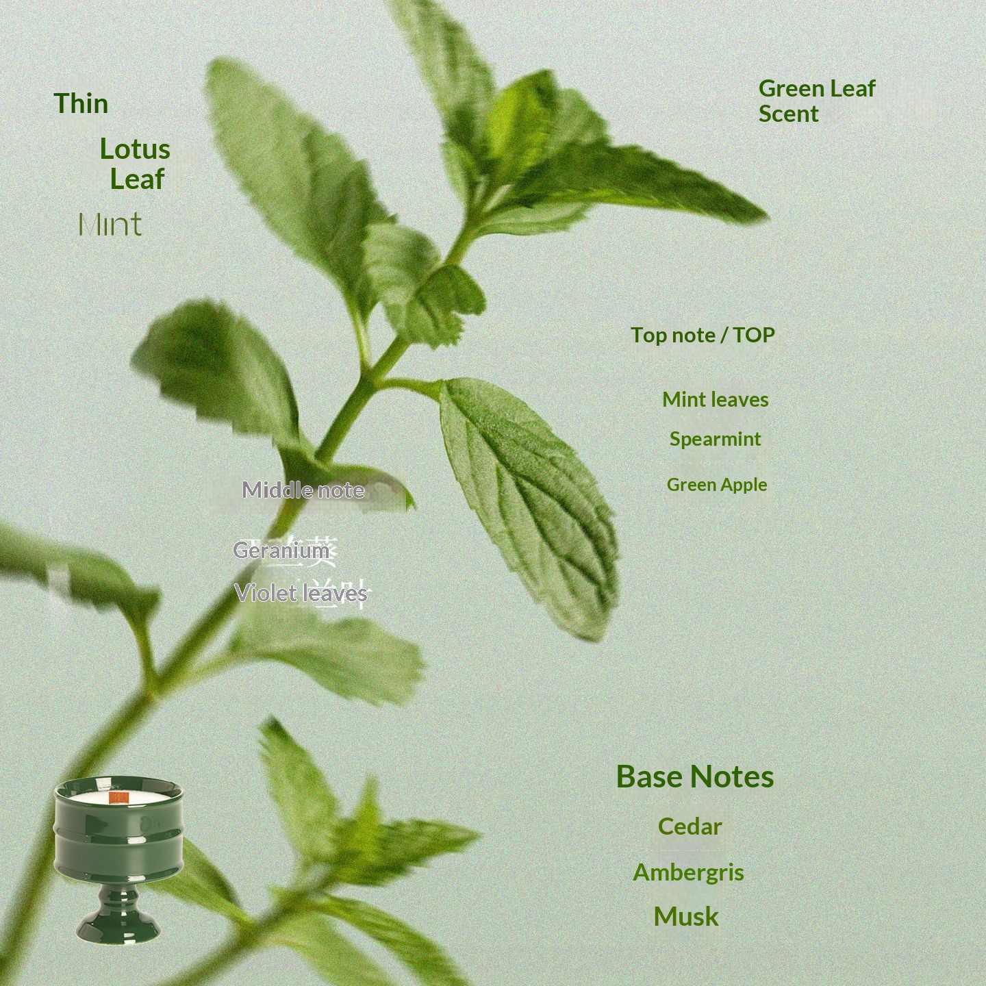 Green Cup - Peppermint Leaves