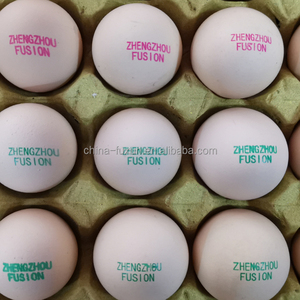 <span class=keywords><strong>Egg</strong></span> <span class=keywords><strong>Coder</strong></span> con cartuccia di inchiostro automatico uovo stampante a getto d'inchiostro piccola piastra completa macchine da stampa su uova