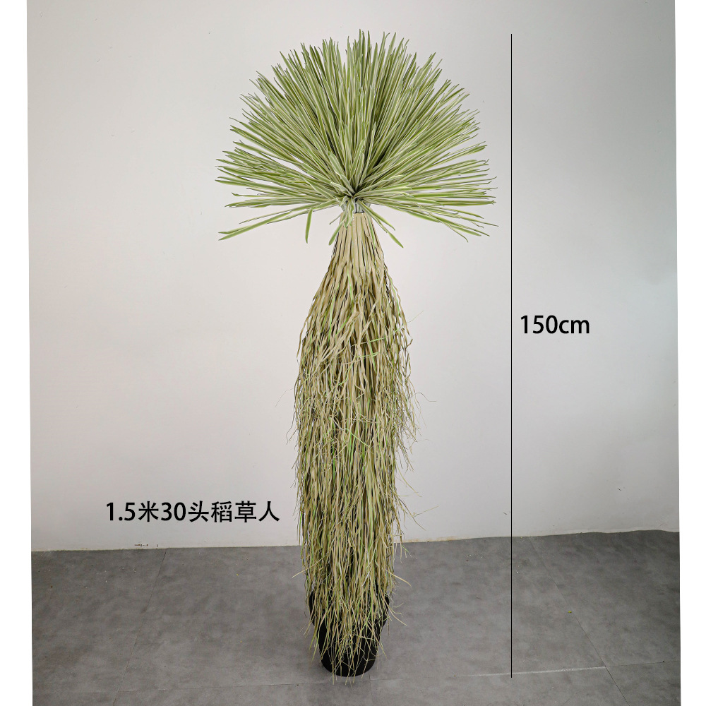 150 cm