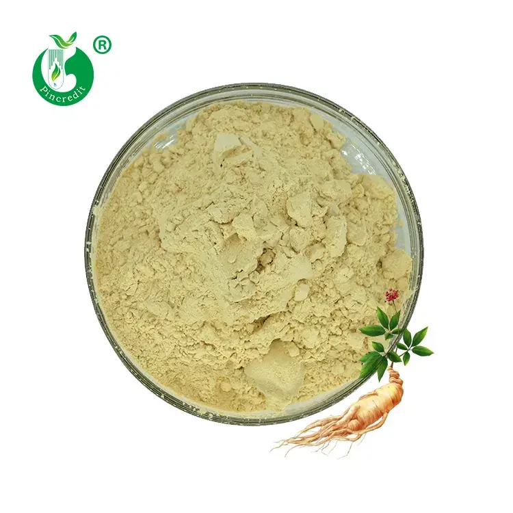 Nguồn Cung Cấp Pincredit Chiết Xuất Nhân Sâm Panax Ginsenoside 80% Ginseng Rg3 45%