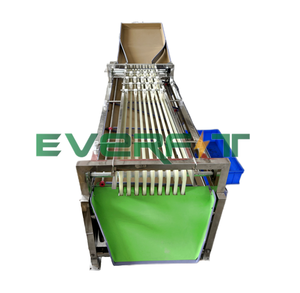 Size <strong>Sorting</strong> Machine Rail Type <strong>Sorting</strong> Machine 1000kg/h - Product Image 6