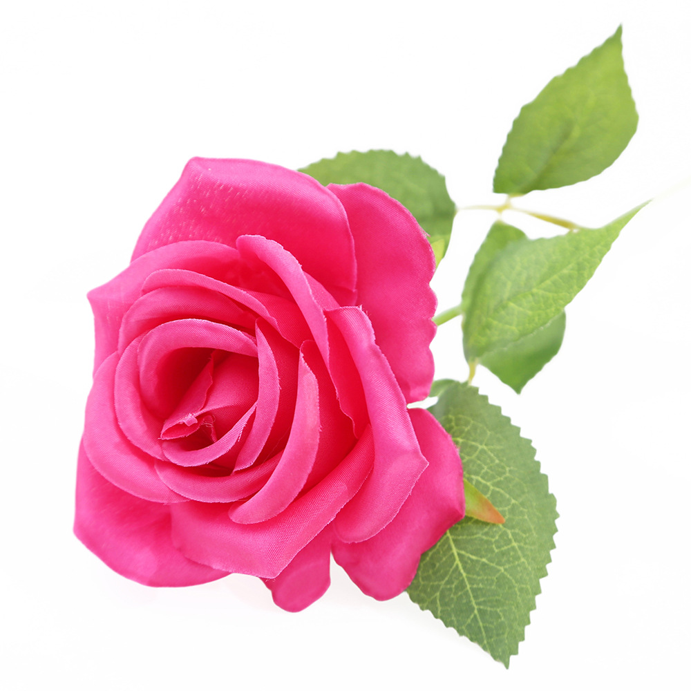 Rose rouge