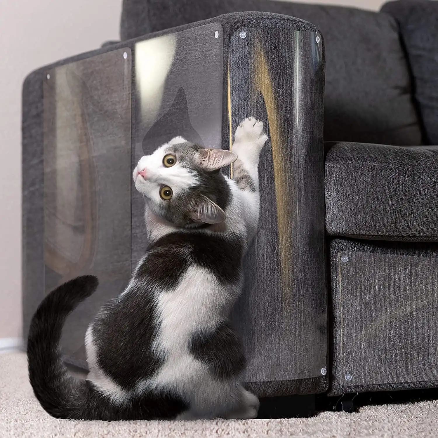 Mobili divano pellicola protettiva trasparente Pet Cat adesivi antigraffio foglio deterrente nastro biadesivo