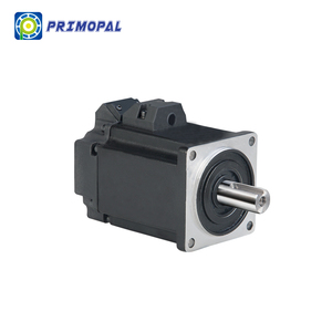 PrimoPal di alta qualità a bassa tensione 24 36 48VDC cina servoazionamento braccio robotico e robot motore - Product Image 2