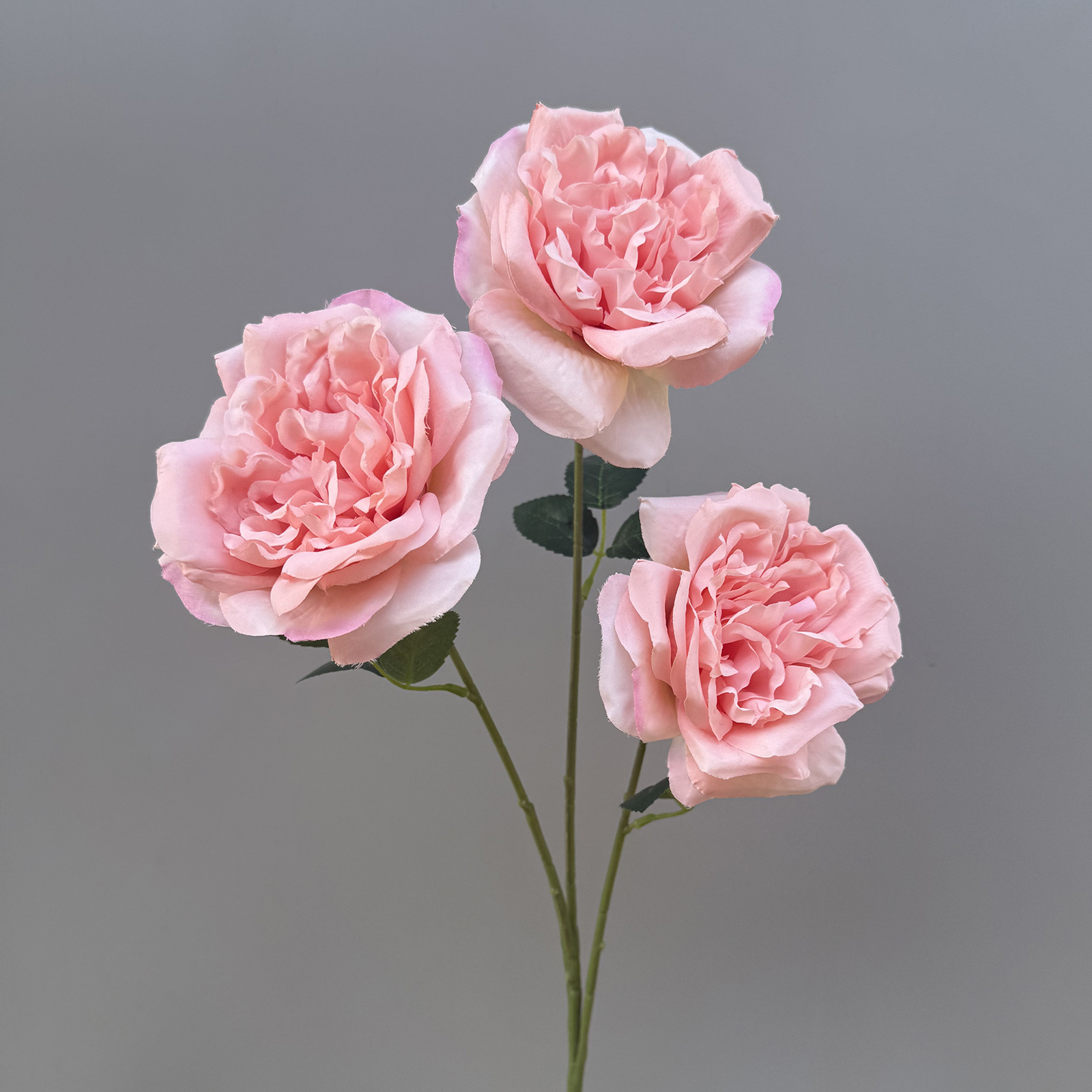 Rose 76 cm
