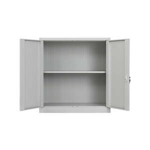 定制低高度钢制文件柜2平开门KD结构家用办公室金属储物柜 - Product Image 5