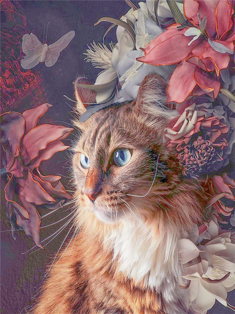 8104 gato flor