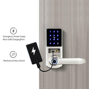 Dijital anahtarsız giriş akıllı ev kilidi TTLock APP ile TUYA WIFI parmak izi akıllı kapı kolu kilidi - Product Image 4