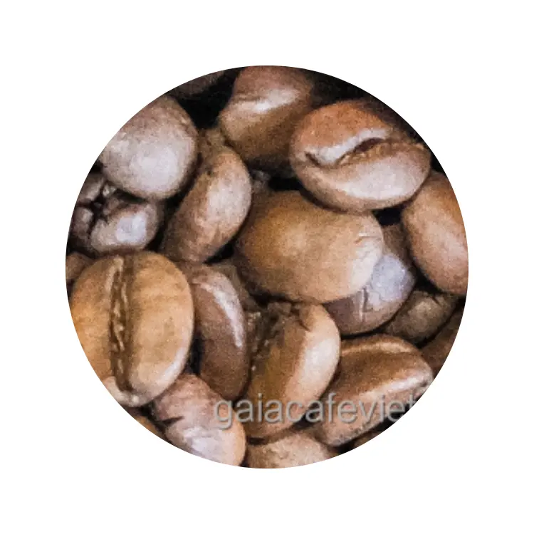 حبات القهوة العربية المحمصة المعدنية المتينة من مكونات مخصصة للشعار متوفرة لدى المورد كبن عضوي من مكونات فيتنامية - مصنع فيتنامي للقهوة