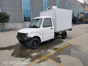DC/<strong>AC</strong> Power Cold Storage Box Mobile <strong>Chiller</strong> Box for Ice Cream Van /UTE - Product Image 2
