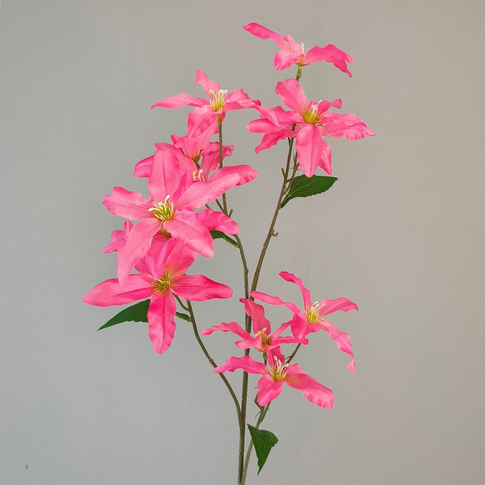 Plus bleu lys-rose rouge-88cm