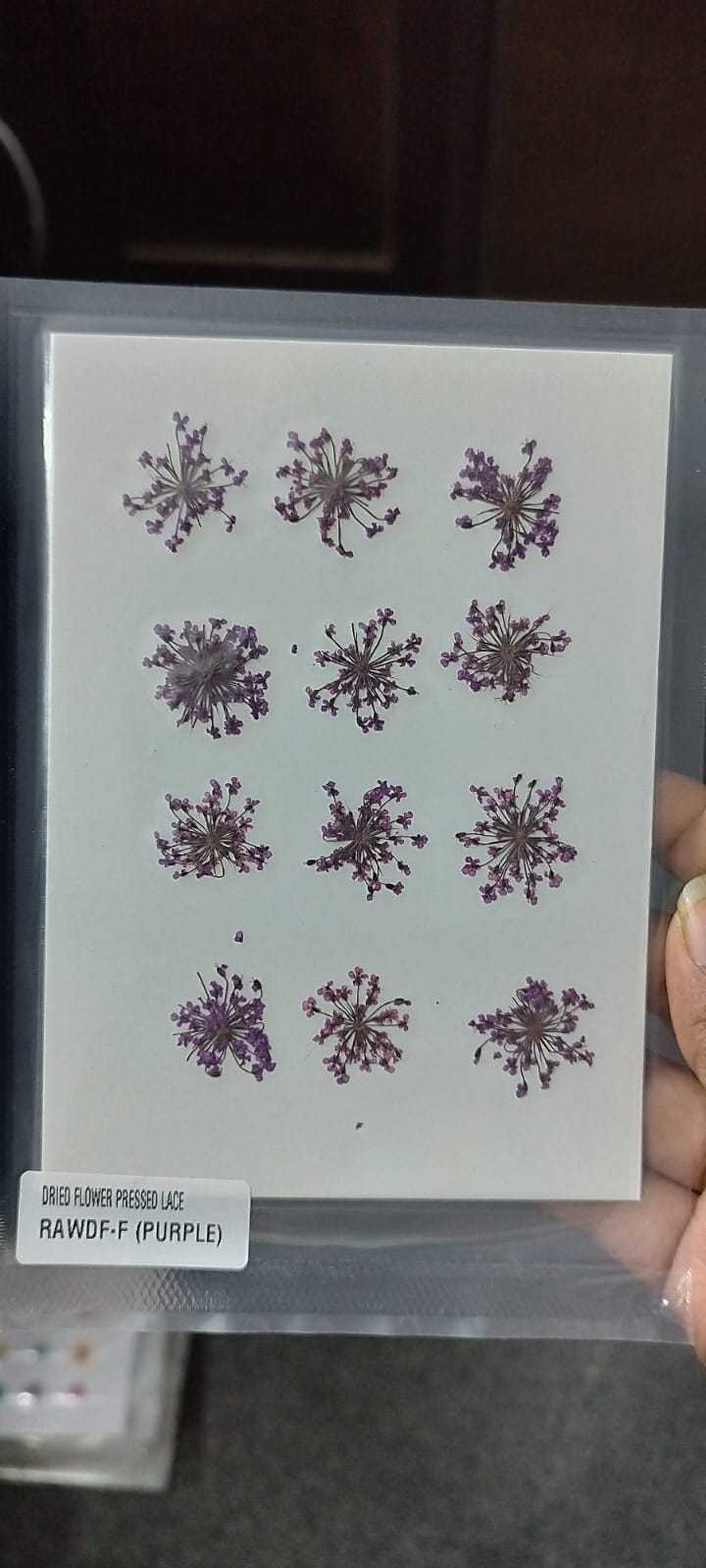 Multi