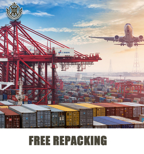 サバンナDDP海上貨物 | 中国から米国南東部 | 小売在庫