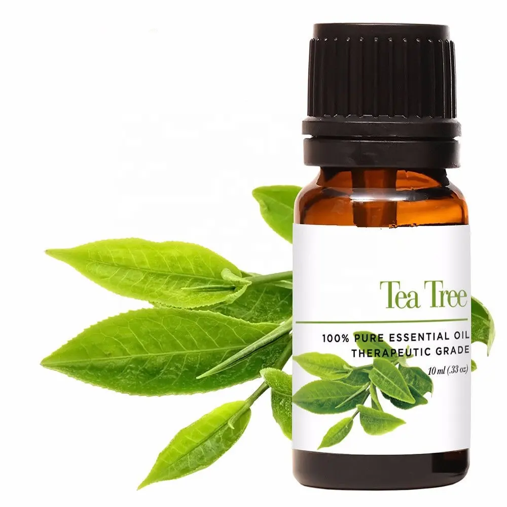 Wholesale Private Label 100% Pure Natural Tea Tree Essential Oil for Aromatherapy