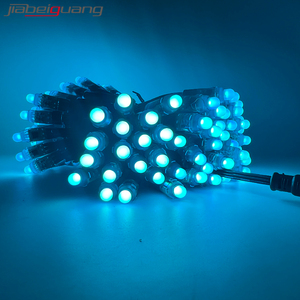 LED LEDストリングライトRGBフルカラープログラマブルLED Modul DC5V Ws2811 12mm防水スマートピクセルクリスマスライト - Product Image 3