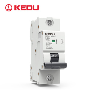 Seguridad MCB 80-125A Tipo de disparo diferente CKDB11 1P/2P/3P/4P mini disyuntor