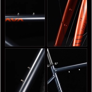 JAVA Road Bike lega di alluminio 16 velocità freno a disco idraulico ghiaia Off road Sequoia LTWOO R3 700C 40C SEQUOIA Java pneumatico largo - Product Image 5