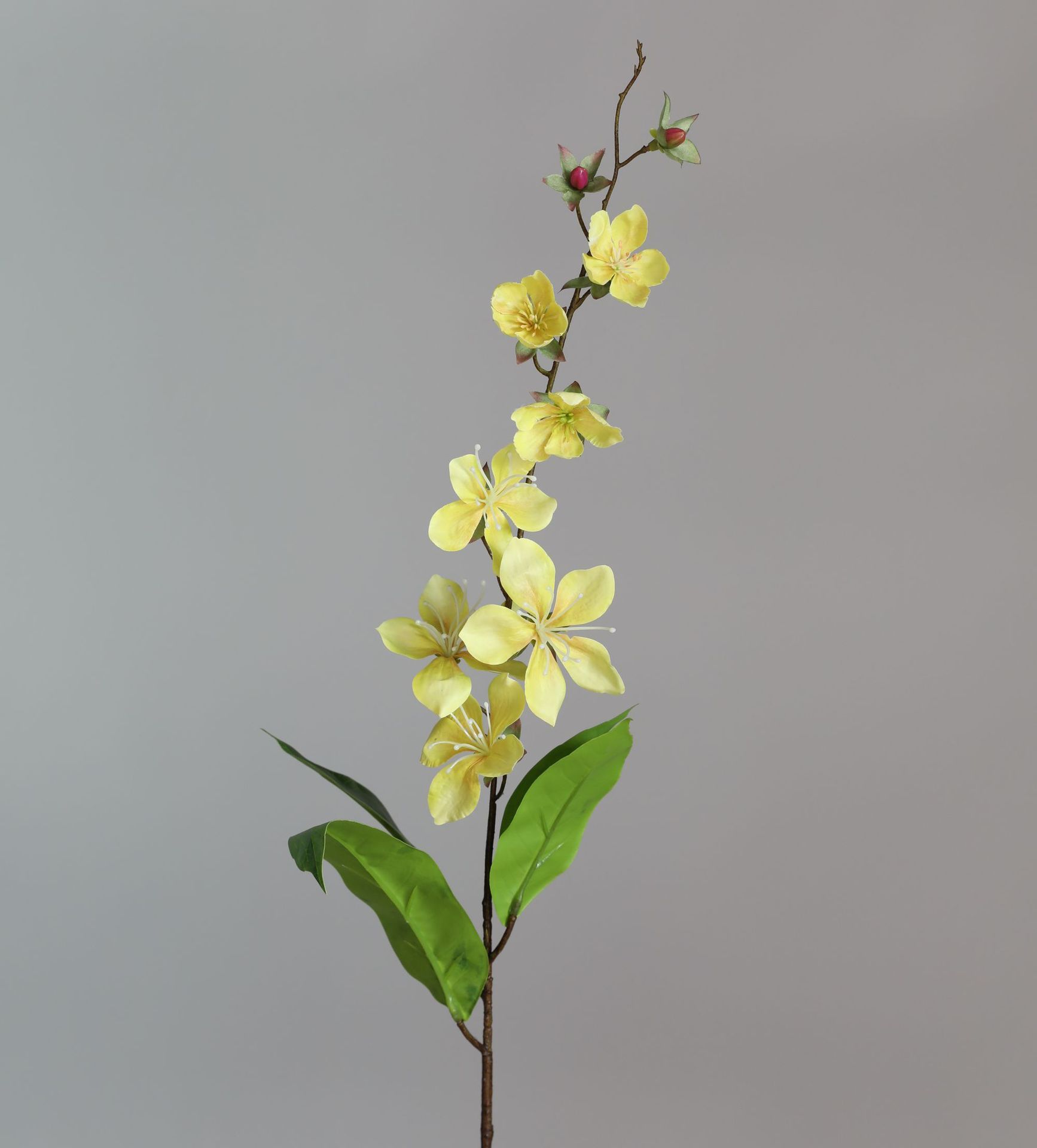 Amarillo