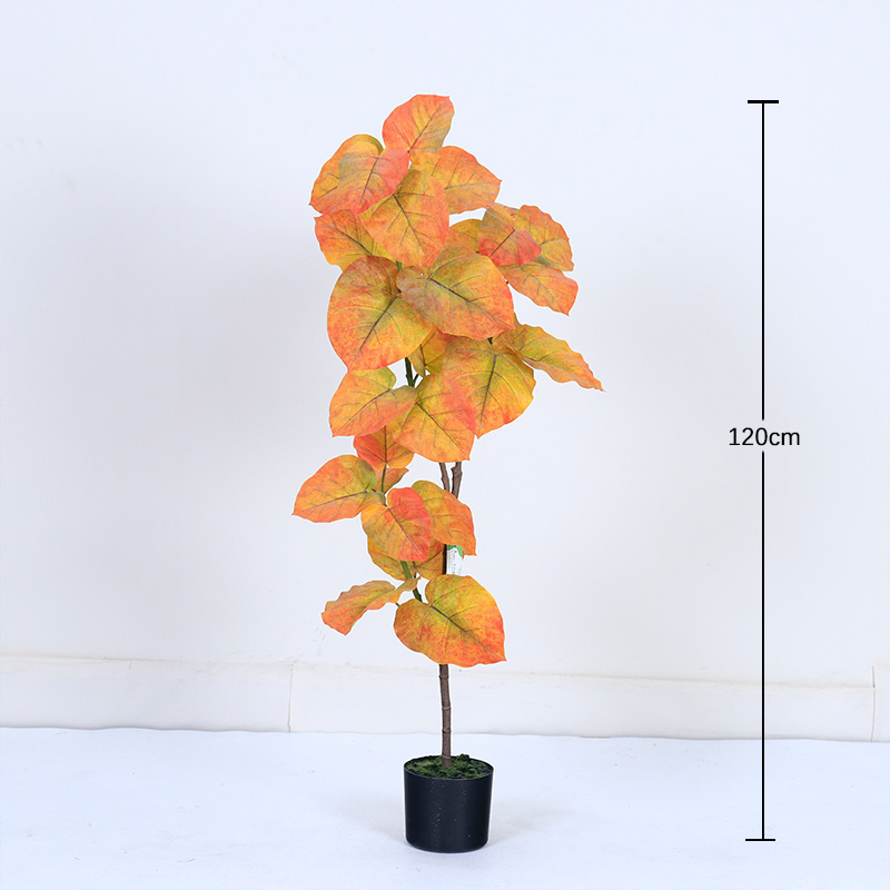 120cm