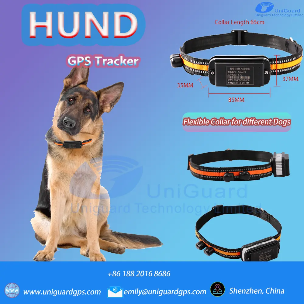 Best Selling GPS tracking for pet Outdoor Dog Hunting GPS tracker Tractive GPS Tracking device for dog 4G