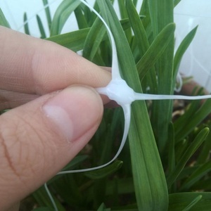 Hot Sale PP Extrudiertes Garten gitter Netz Klettern Gurke Gewächshaus Pflanze Support Net