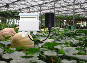 AIR <strong>TEMPERATURE</strong> and AIR HUMIDITY CO2 THREE PARAMETERS 3 in 1 WALL MOUNTED SPLIT TYPE RS485 WIFI GPRS LORA LORAWAN SENSOR TESTER - Product Image 2