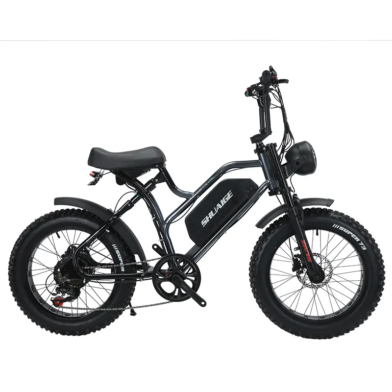 Çin fabrika OEM özel renk bicicleta eletrica 2000w elektrikli bisiklet enduro ebike motor fatbike 20 inç