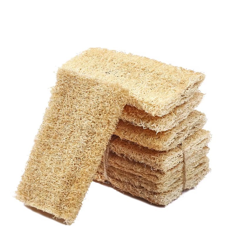 Éponge luffa blanche, éponge luffa 4 pouces
