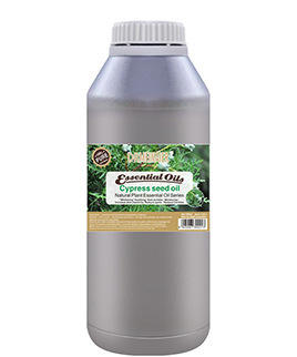 เมล็ดไซเปรส