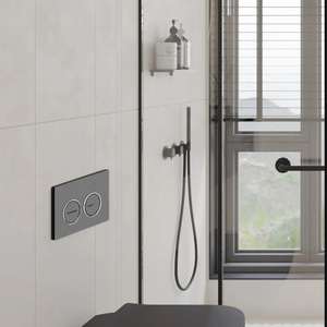 TUSSON Concealed <strong>Cistern</strong> with Stainless Steel Frame Strong Modern Design for High End Kazakh Homes - Product Image 3