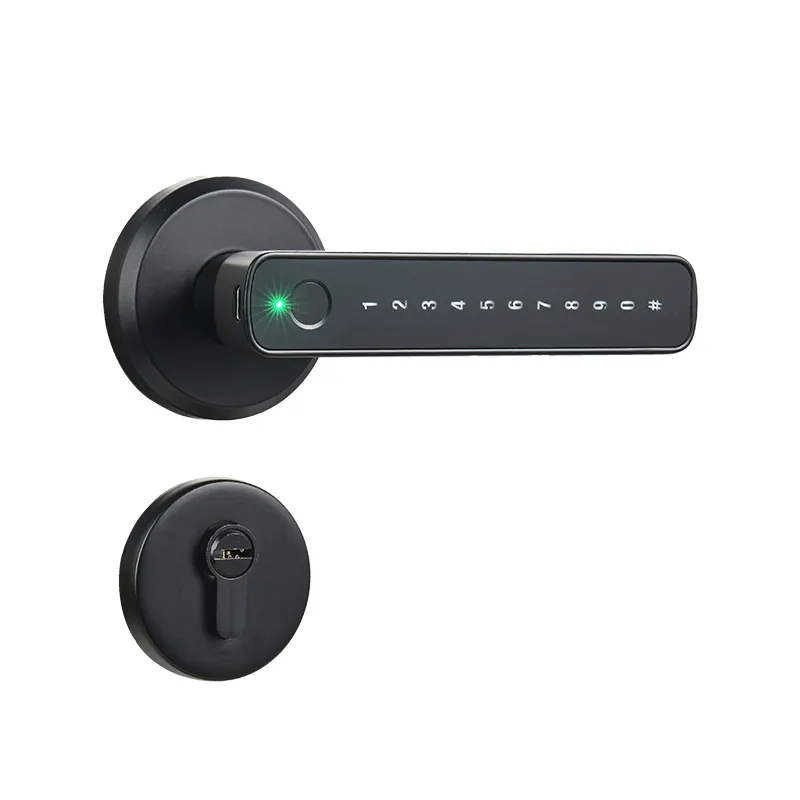 Nouvelle serrure de porte intelligente personnalisée Bluetooth Tuya mot de passe poignée de porte d'empreinte digitale serrure intelligente avancée