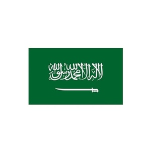 Çin lojistik şirketi nakliye acentesi DDP nakliye iletici çin nakliye hizmeti ile suudi arabistan - Product Image 1