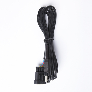 USB-Kabel CNG-Konvertierungs kit Kabel für CNG LPG-Autoteile mit sequentiellem Injektion system - Product Image 2
