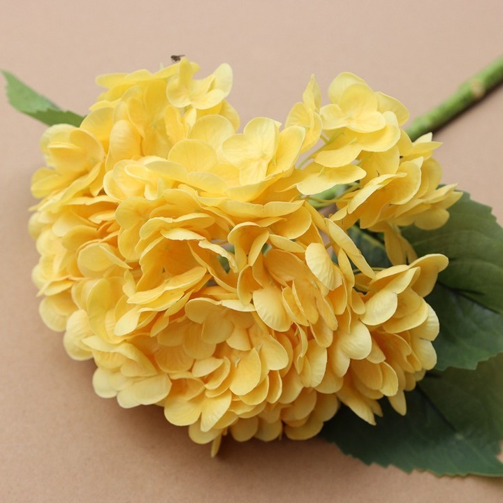#15
