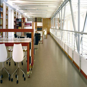 Döşeme trafik sınıfı kauçuk PVC Modern kapalı ofis binası vinil döşeme yapıştırıcı antistatik 3 yıl % 100% saf PVC 2mm 3mm - Product Image 2