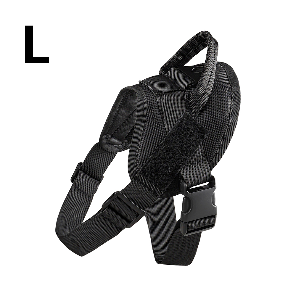 Noir-L
