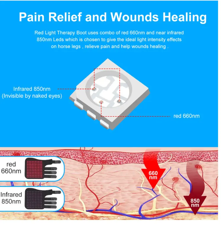 Dispositivo de luz infrarroja para el cuidado de caballos, terapia de luz roja, 660nm, 850nm
