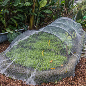 Low Price Fruit Fly Prevention <strong>Net</strong> Insect Proof <strong>Net</strong> Anti Insect <strong>Net</strong> for Greenhouse - Product Image 4