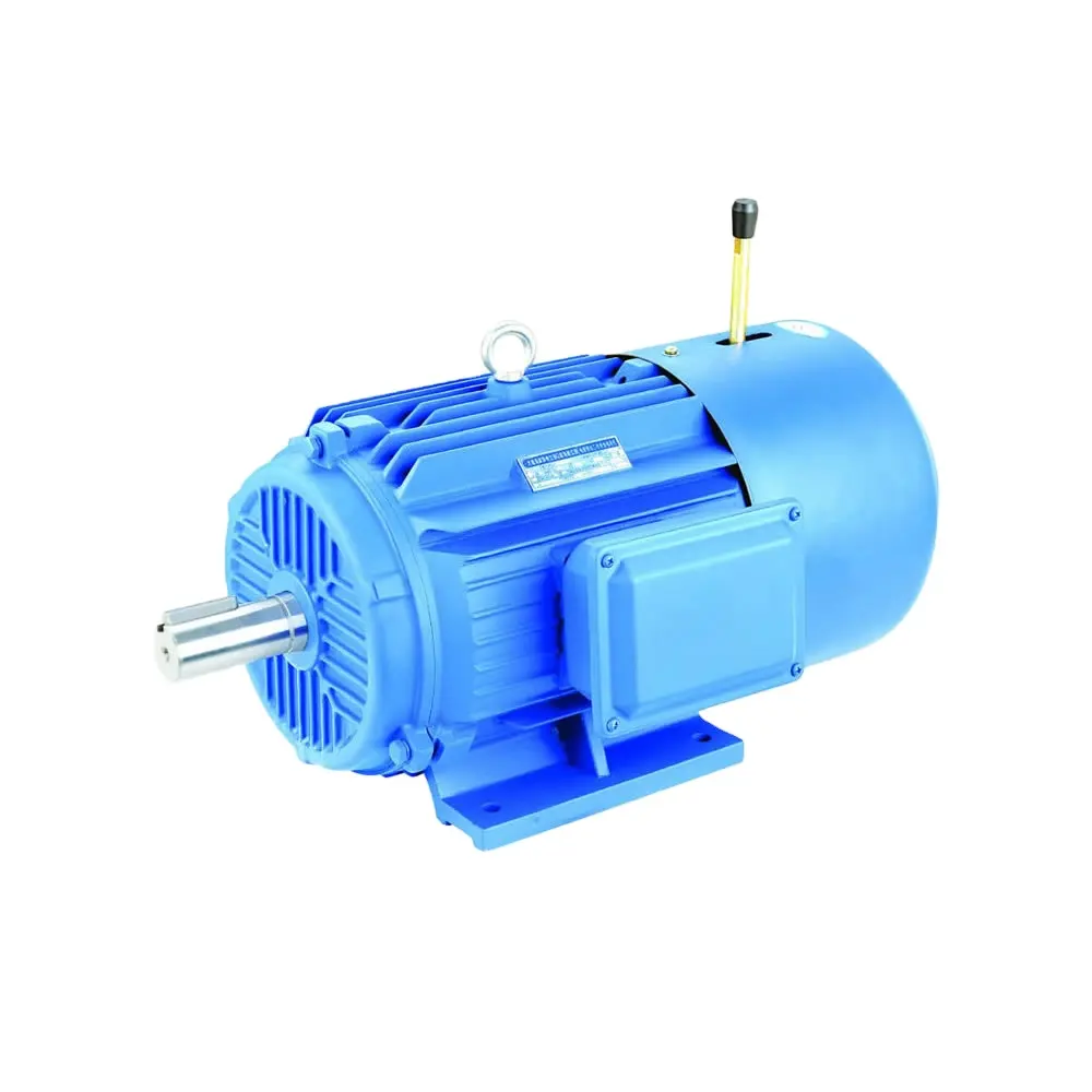 Three Phase Asynchronous Electric Brake Motor