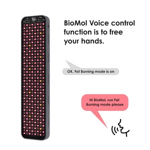 H Series Full Body 660nm 850nm Red Near <strong>Infrared</strong> Voice Control Led Light Therapy Panel Device for Home Use Beauty - Product Image 6