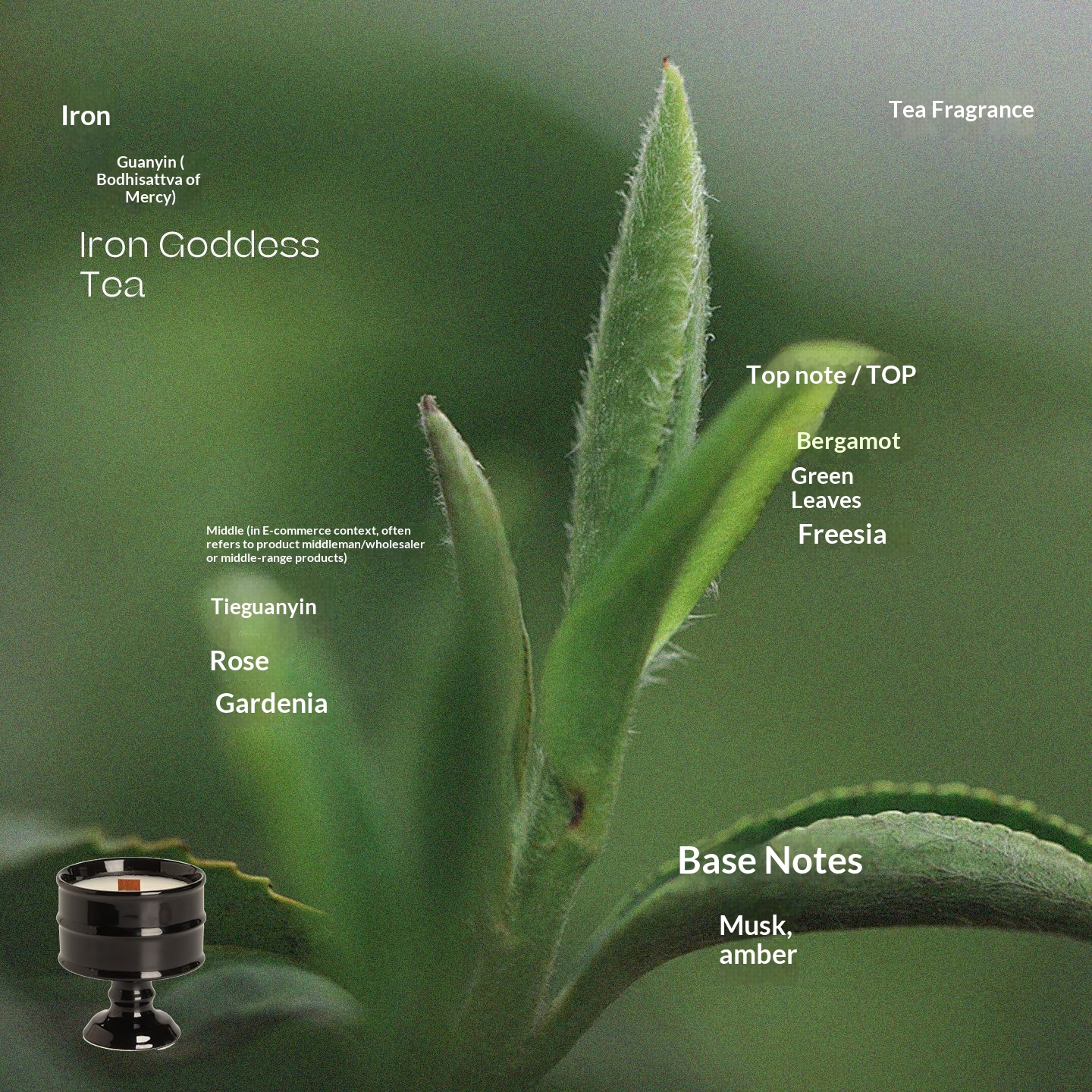 Black Cup - Tie Guan Yin