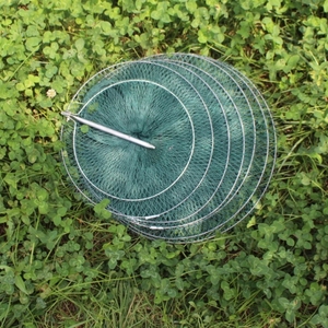 Trap Nylon Mesh Foldable <strong>Round</strong> Cage Fish Shrimp Minnow Crab Baits Fishing <strong>Net</strong> - Product Image 5