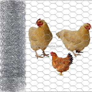 Zincato/pvc rivestito esagonale rete metallica recinzione di pollo per pollame azienda agricola rete rete di protezione della pianta di filo di pollo - Product Image 5