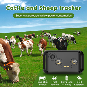 Orta büyük ırklar için avcılık köpek eğitim yaka GPS titreşim stimülasyon GPS izleme çit WiFi/GSM Android App - Product Image 6