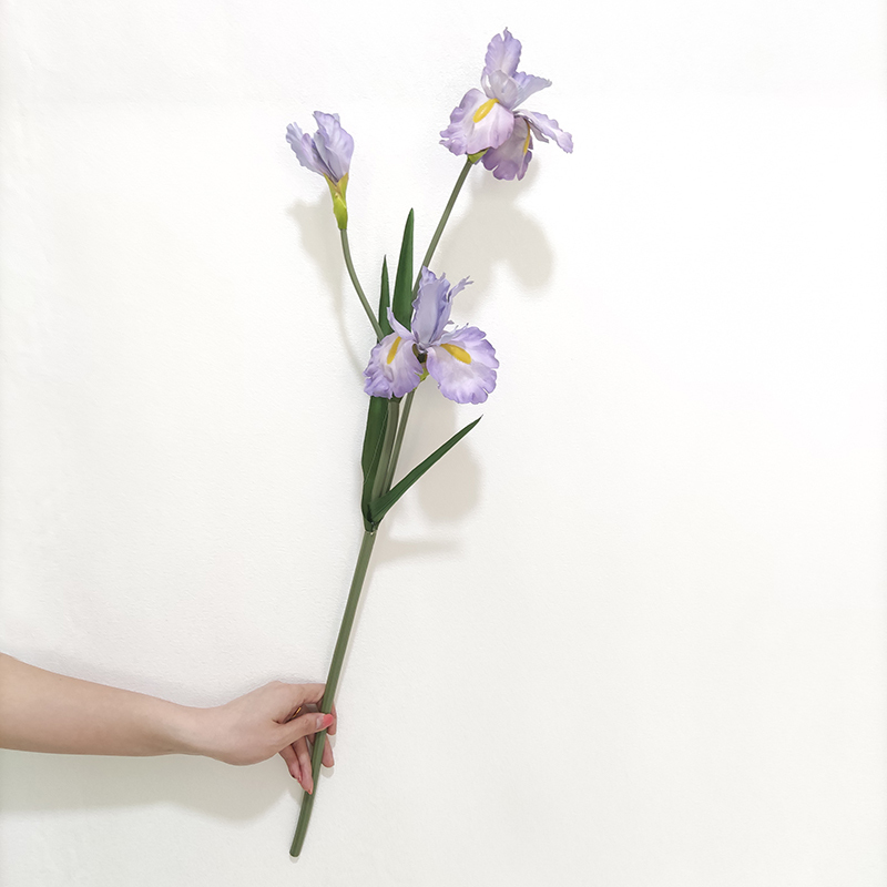 light purple