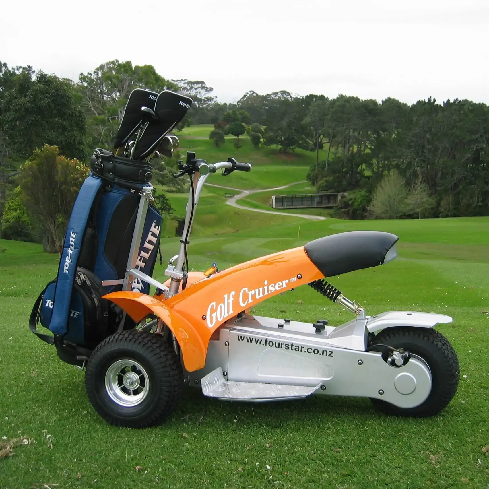 Mini carritos de golf eléctricos de 3 ruedas de alta calidad, carrito de golf de un solo asiento
