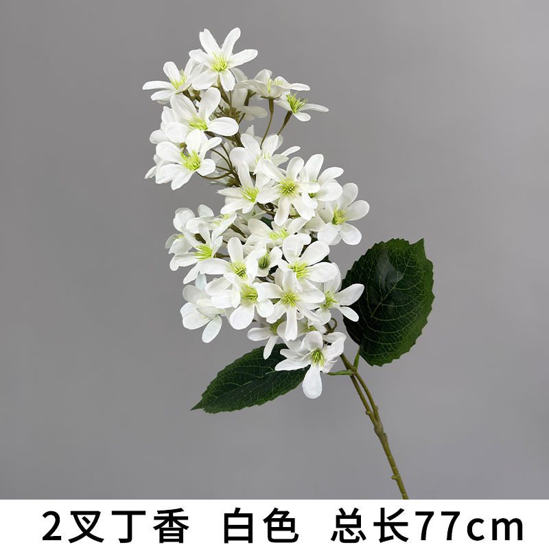 Lilla a 2 punte, bianco, lunghezza totale 77 cm