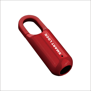 Yüksek kaliteli anahtarsız parmak izi asma kilit elektrikli kapı kilidi/asma kilit parmak izi - Product Image 3